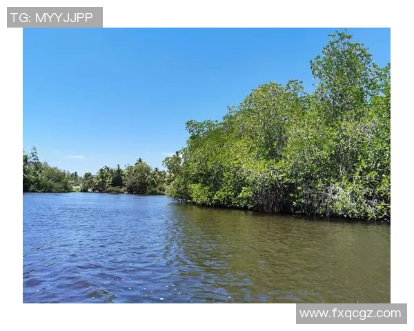 海南与斯里兰卡美景大比拼究竟哪个更胜一筹让我们一探究竟